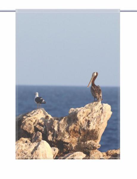 Scheibenhänger Die zwei rechteckig